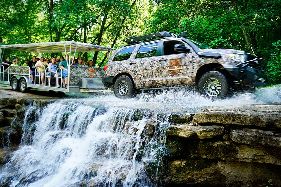 wildlife tram tour dogwood canyon