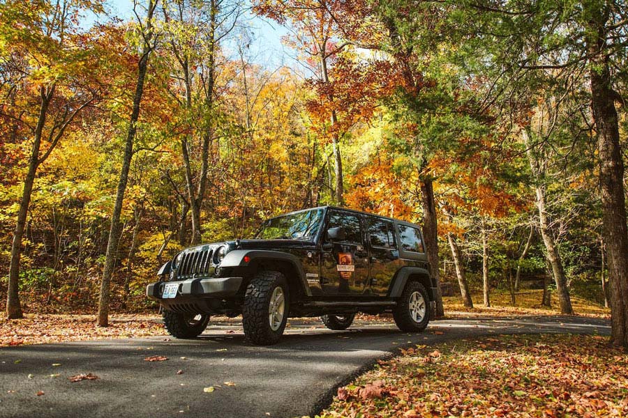 Dogwood Canyon Private Wildlife Tours