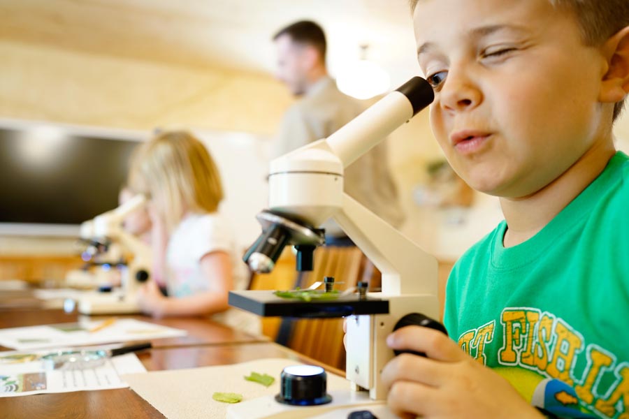 Kids looking through a microscope