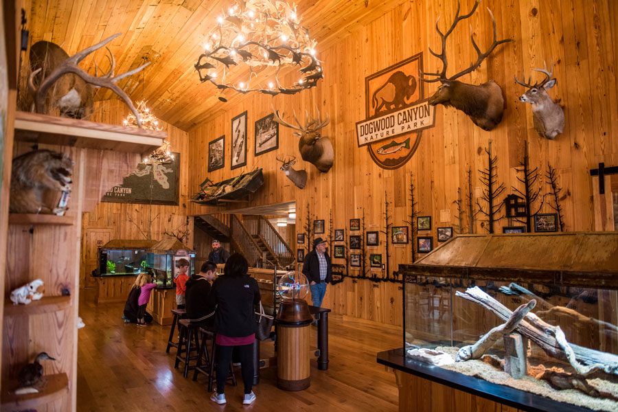 Interior Dogwood Canyon Conservation Education Center