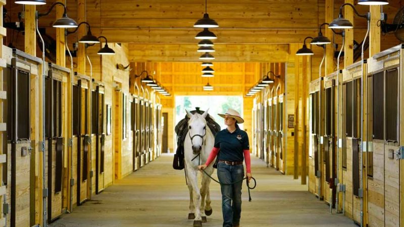 Woman walking horse at Little Indian Stables