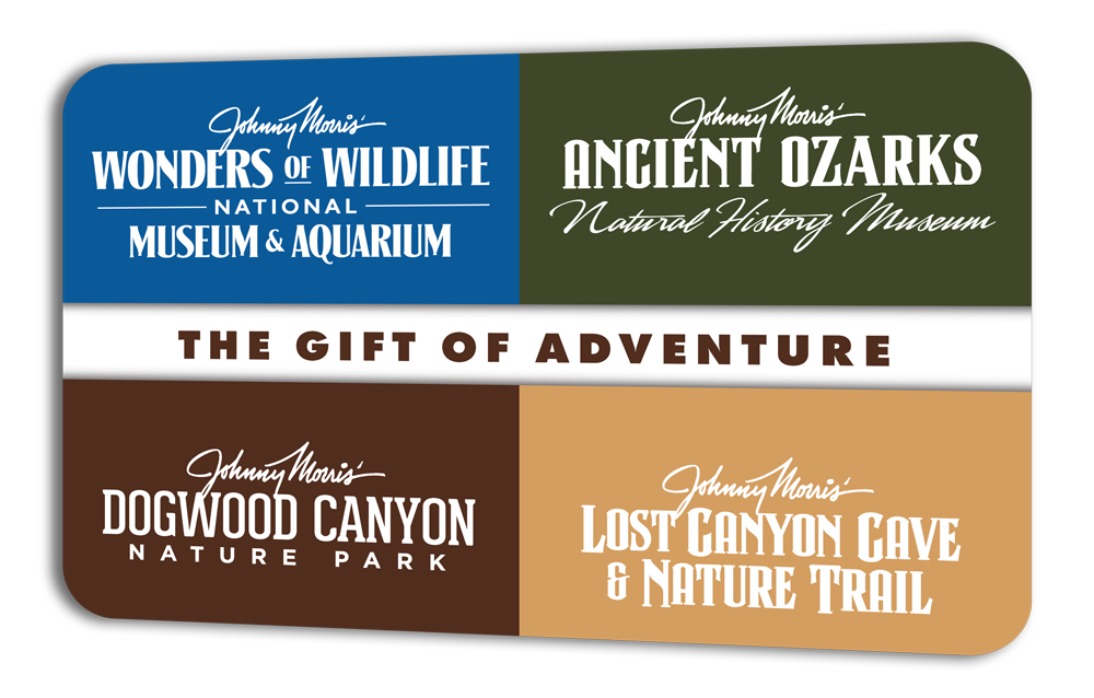 Four_Attraction_Giftcard