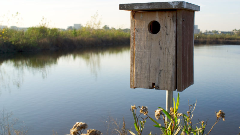 San_Joaquin_Wildlife_Sanctuary_birdhouse San_Joaquin_Wildlife_Sanctuary_birdhouse