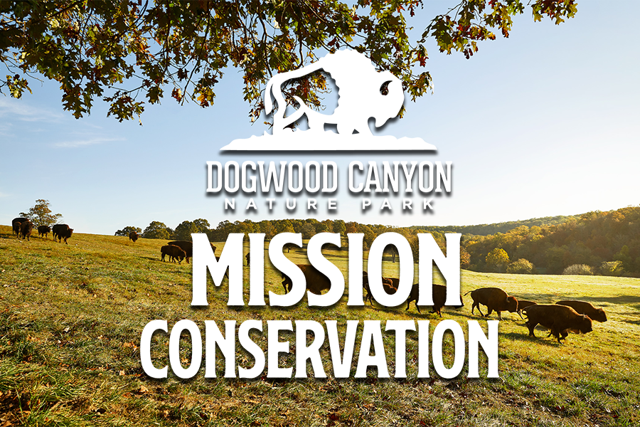 Rolling hills image with text "Dogwood Canyon Nature Park Mission Conservation."