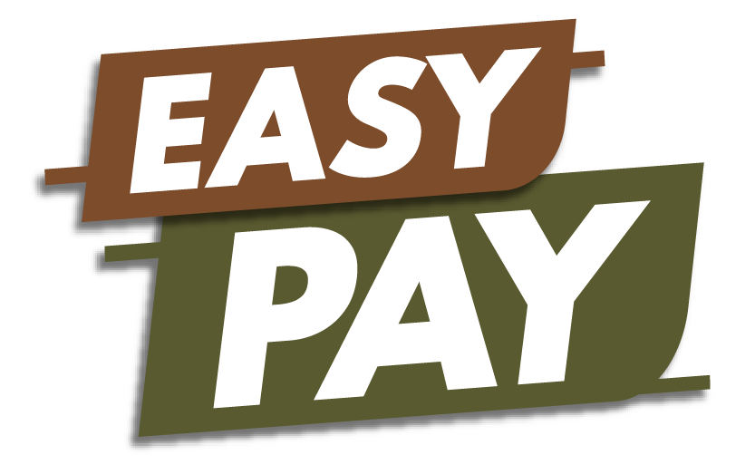 EasyPay_Graphic-02