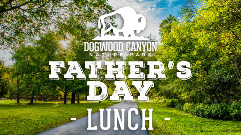 Fathers_Day_Header_Fix Fathers_Day_Header_Fix