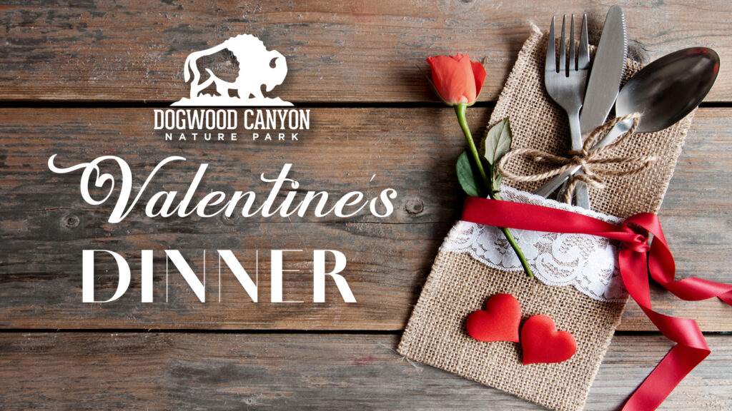 Dining Places to Eat at Dogwood Canyon Nature Park