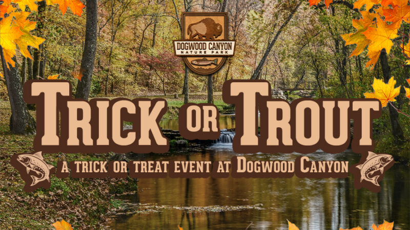 Dogwood Canyon HalloweenEvent: Trick or Trout Header