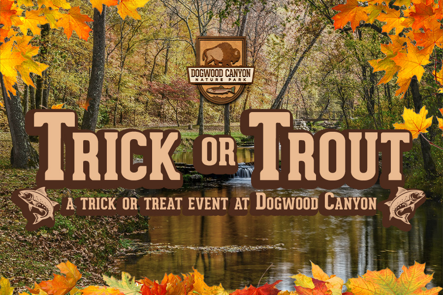 Dogwood Canyon HalloweenEvent: Trick or Trout Header