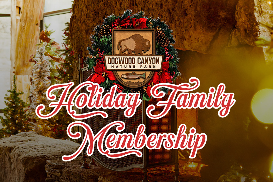 2024_DWC_HolidayMembershipOffer_WebHeader_900x600