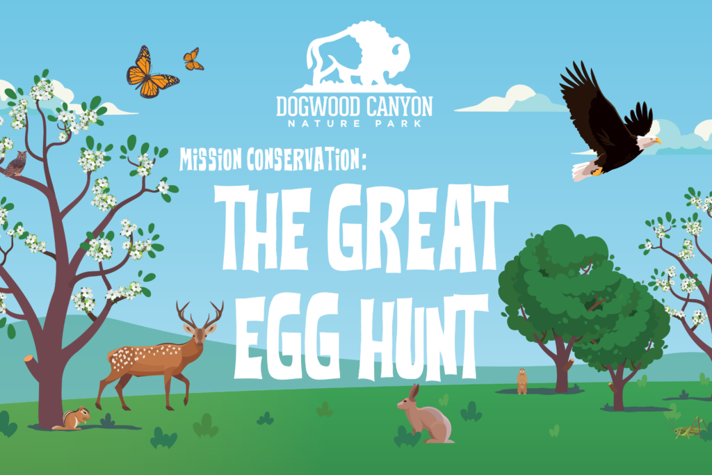 Mission Conservation The Great Egg Hunt header image featuring several animals and a field with trees in an illustrated style.