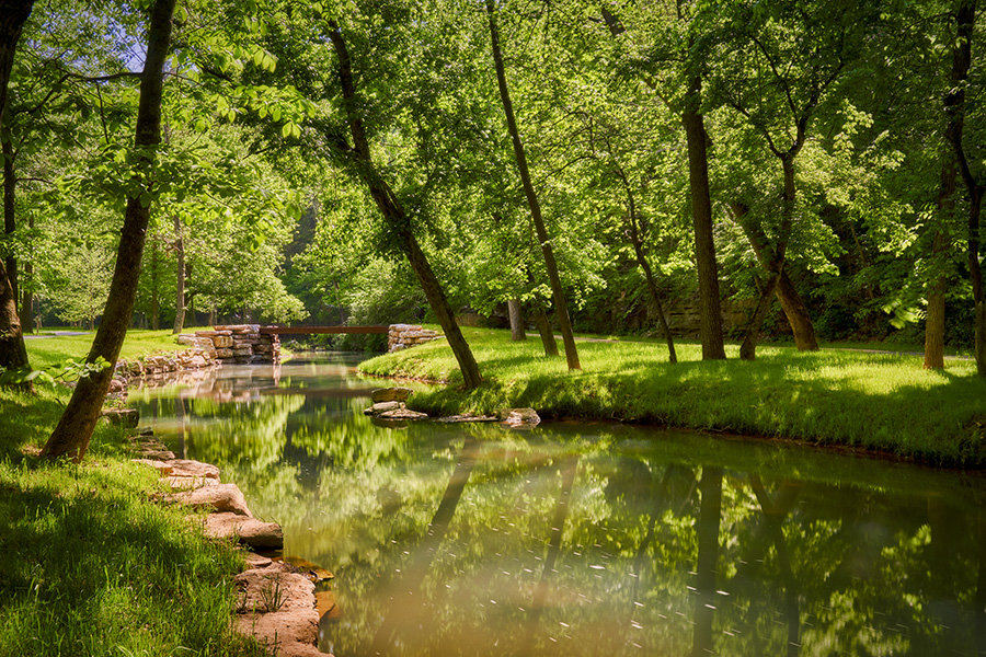 Image of a waterway at Dogwood Canyon during the summer.