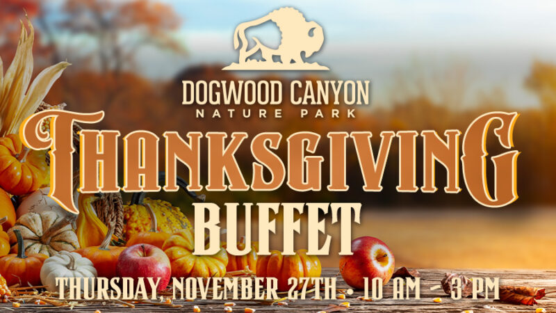 2025_DWC Thanksgiving_HeaderFIX_900x600 Dogwood Canyon THANKSGIVING BUFFET Thursday, November 27th • 10 AM - 3 PM