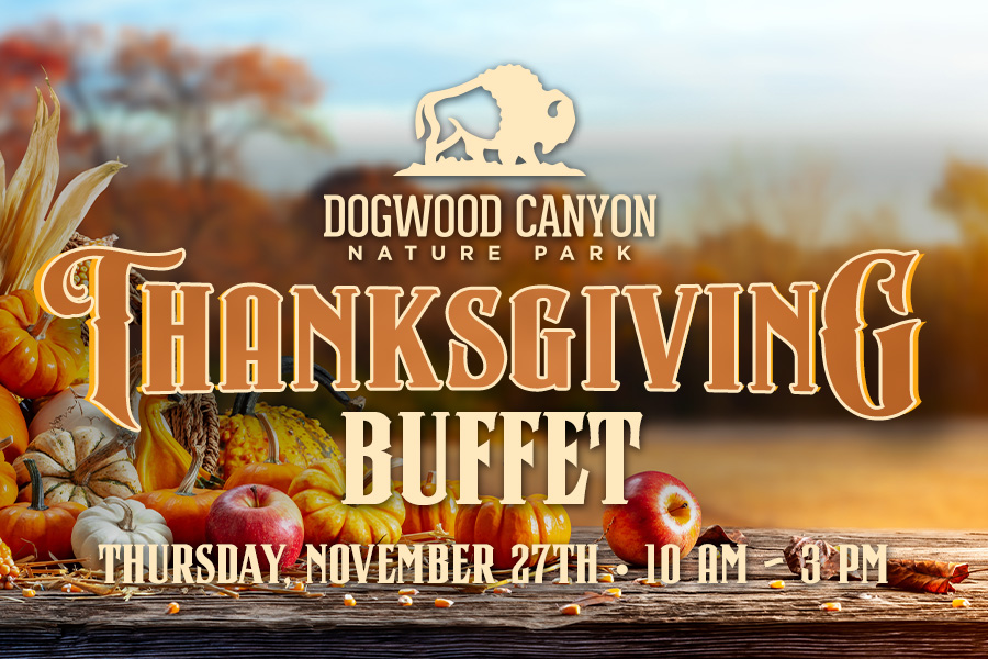 2025_DWC Thanksgiving_HeaderFIX_900x600 Dogwood Canyon THANKSGIVING BUFFET Thursday, November 27th • 10 AM - 3 PM
