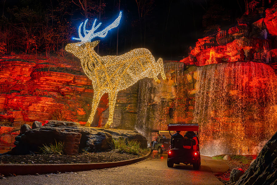 A large elk made of Christmas lights arcs over the trail with a golf cart driving under it past a waterfall.