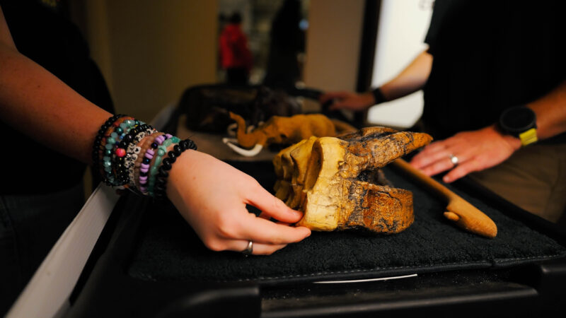 2025_WOW_Field Trip_LostCanyonAndMuseum-31