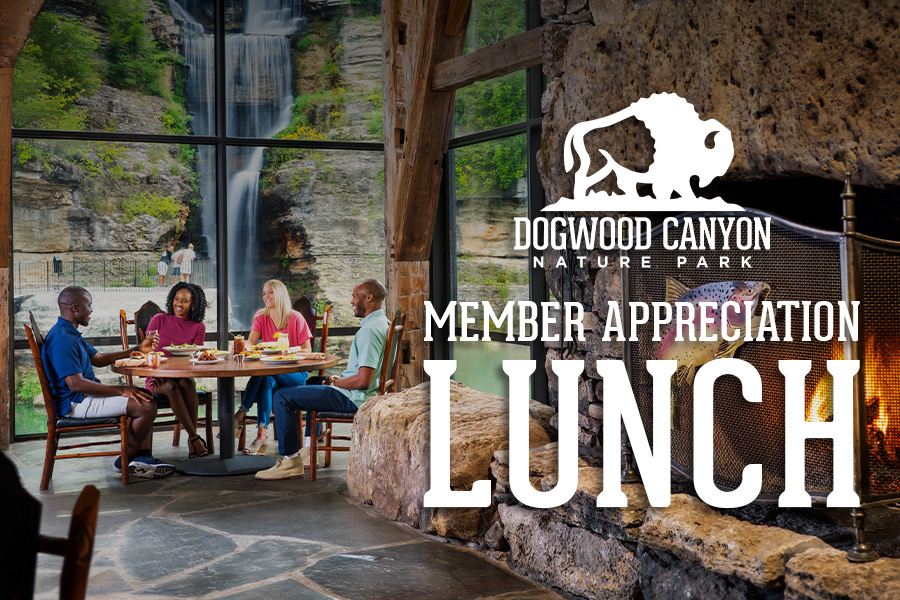 Dogwood Canyon Member Appreciation Lunch