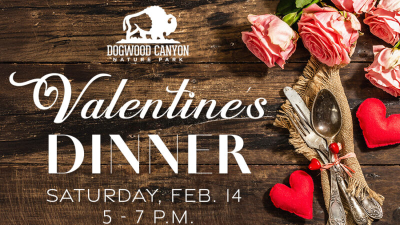 Dogwood Canyon Valentine's Dinner Saturday, Feb. 14 5 - 7 p.m.
