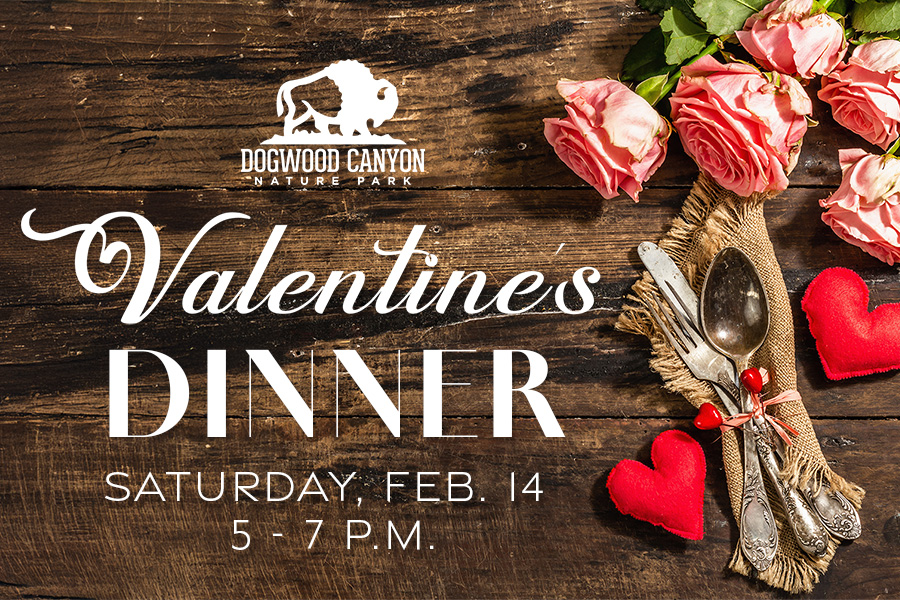 Dogwood Canyon Valentine's Dinner Saturday, Feb. 14 5 - 7 p.m.