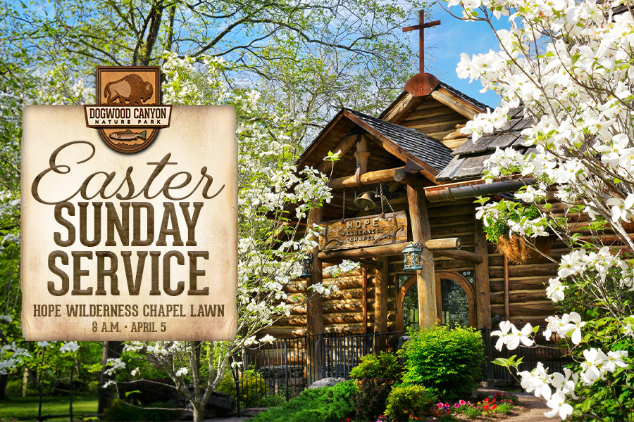 Easter Sunday Service Hope Wilderness Chapel Lawn April 5