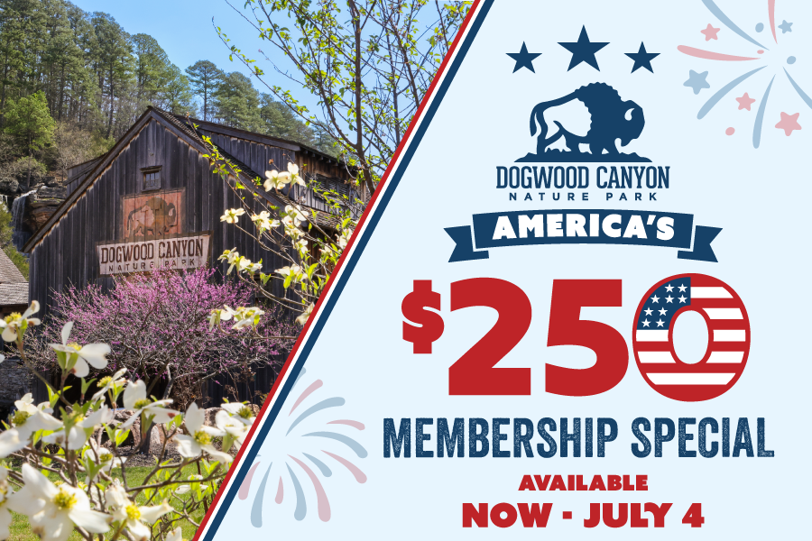 Exterior of Dogwood Canyon Mill with text on the right: "Dogwood Canyon America's $250 Membership Special Available Now - July 4"