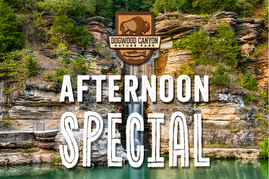 Dogwood Canyon waterfall spilling into a river with text: "Dogwood Canyon Afternoon Special."