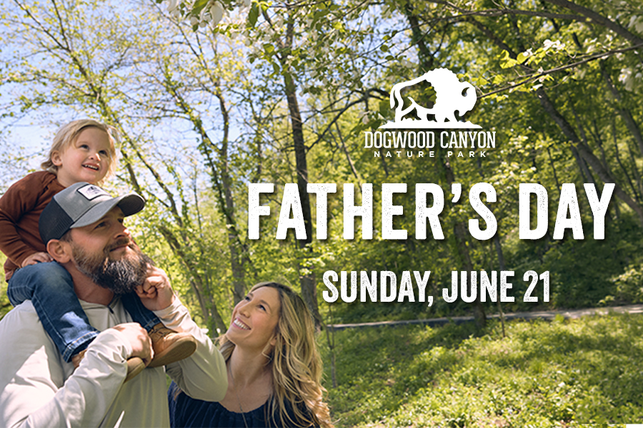 Father and children on a hike with text: Dogwood Canyon Father's Day Sunday, June 21