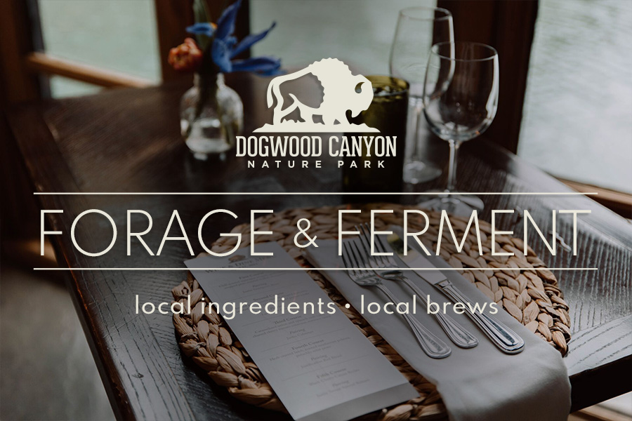 Finely set dining table with text: "Dogwood Canyon Forage & Ferment local ingredients • local brews"