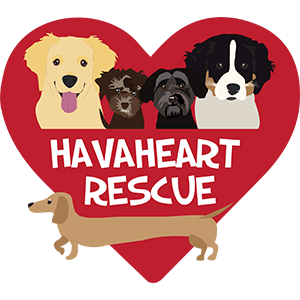 Logo with text: "Havaheart Rescue"