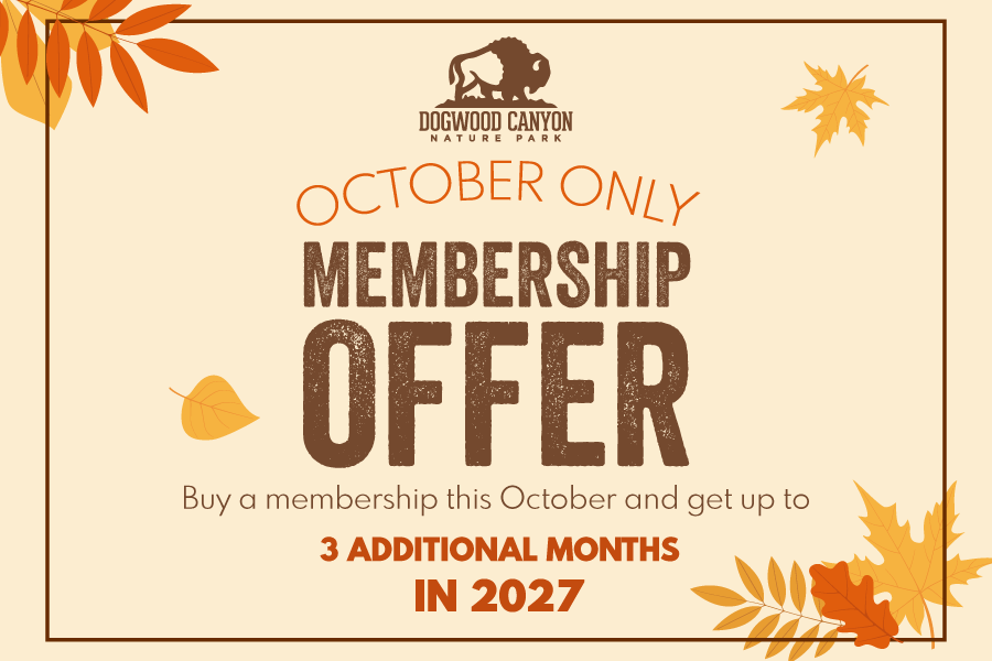 Text: "Dogwood Canyon October Only Membership Offer Buy a membership this October and get up to 3 additional months in 2027"