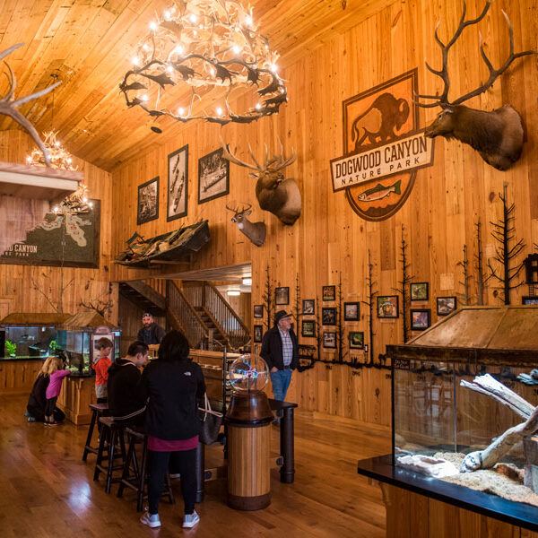 Interior Dogwood Canyon Conservation Education Center